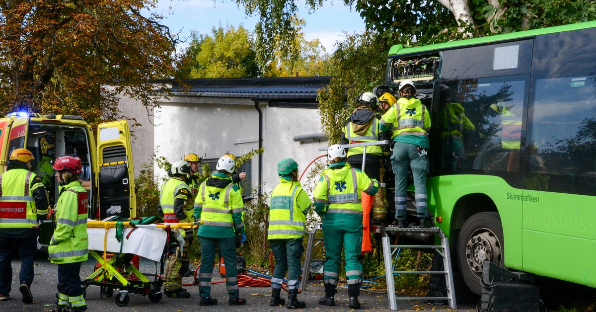 Stadsbuss k&ouml;rde in i ett tr&auml;d &ndash; f&ouml;raren brottsmisst&auml;nkt
