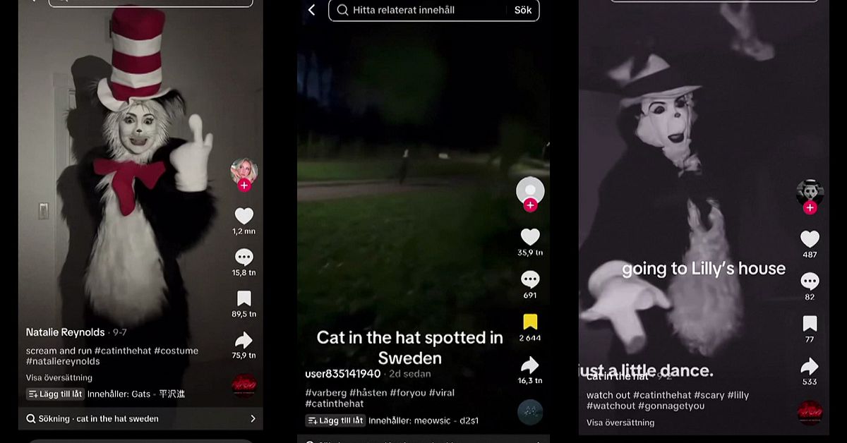 Lilla Aktuellt sp&aring;rar &rdquo;Katten i hatten&rdquo;-klippen &ndash; hittar mannen bakom kostymen