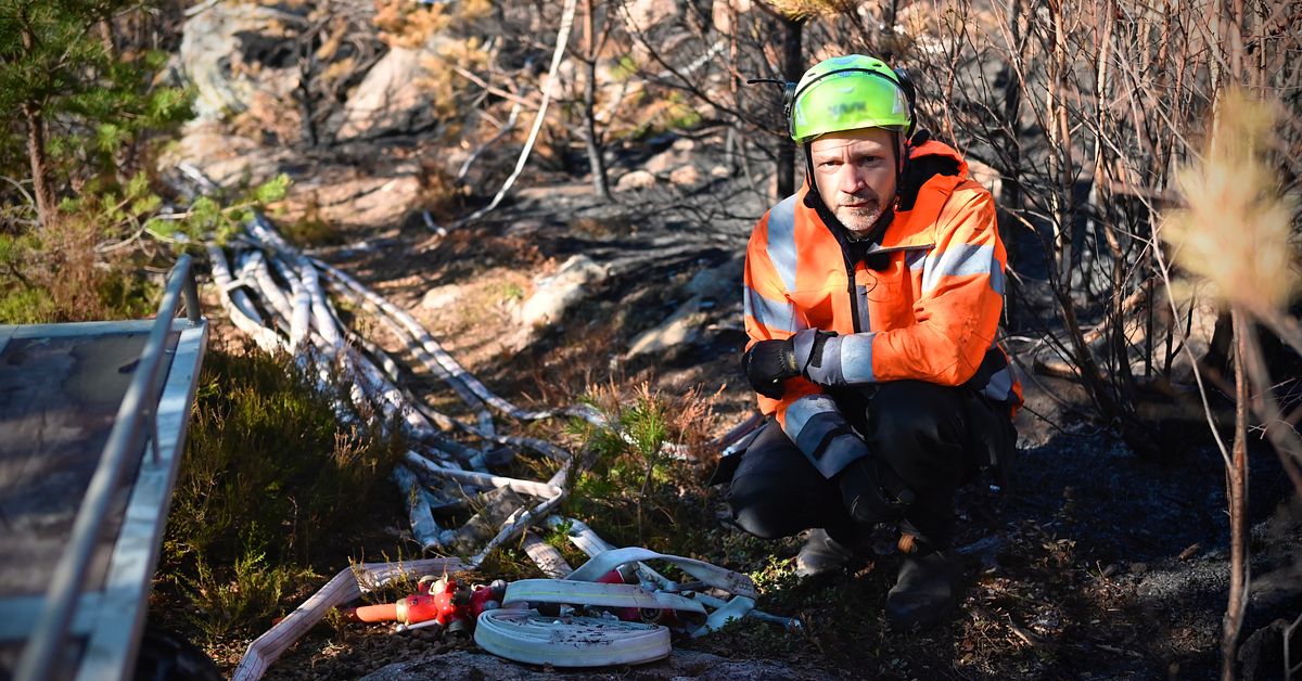 Se bilder fr&aring;n nedbrunna skogen i Boxholm &ndash; &rdquo;Enormt arbete&rdquo;