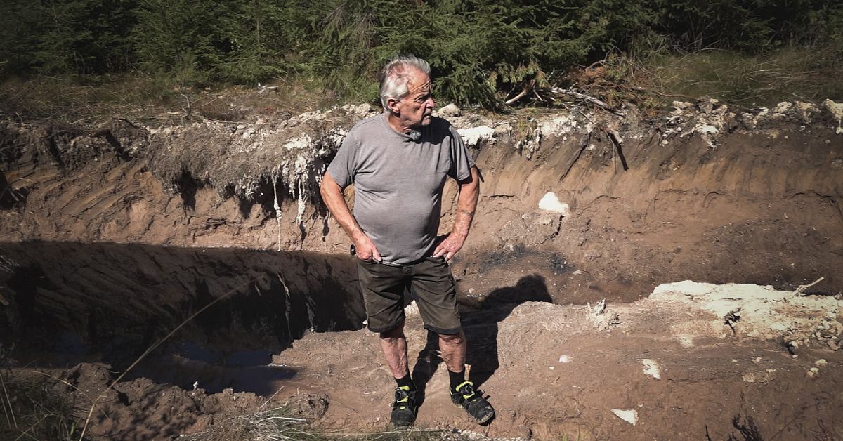 Skogsavverkning i Leksand får kritik: ”Ser ut som man släppt en bomb”