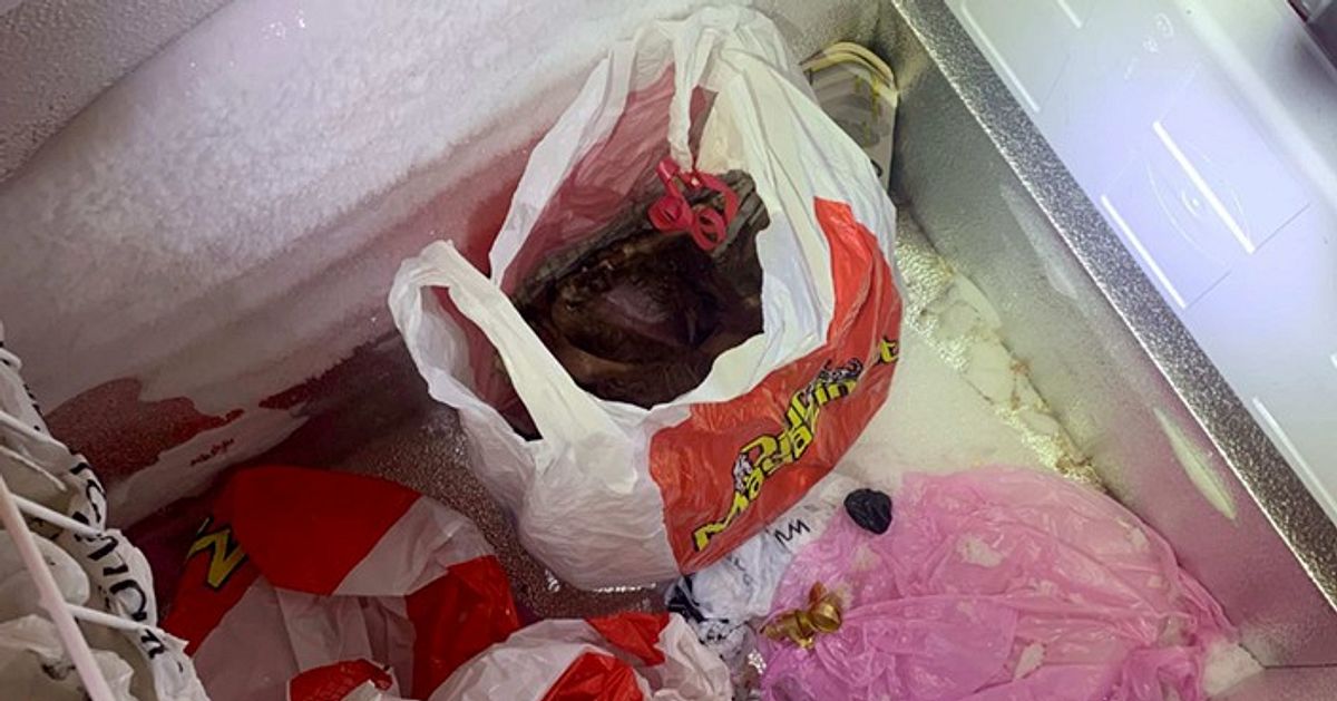 Kvinna i Ume&aring; hade tv&aring; d&ouml;da hundar i frysbox &ndash; d&ouml;ms f&ouml;r grovt djurpl&aring;geri