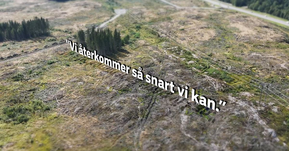 Ett års väntan på handlingar från kommunala Torsbodabolaget