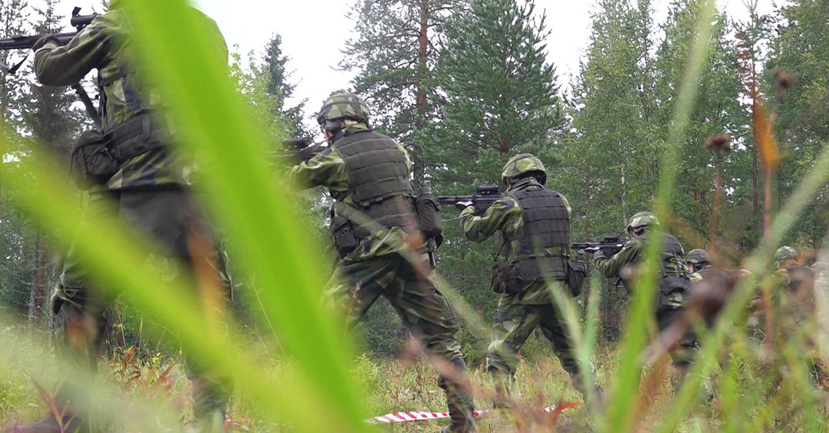 Larm fr&aring;n f&ouml;rsvaret i Ume&aring;: Kr&auml;nkningar och h&auml;rskartekniker