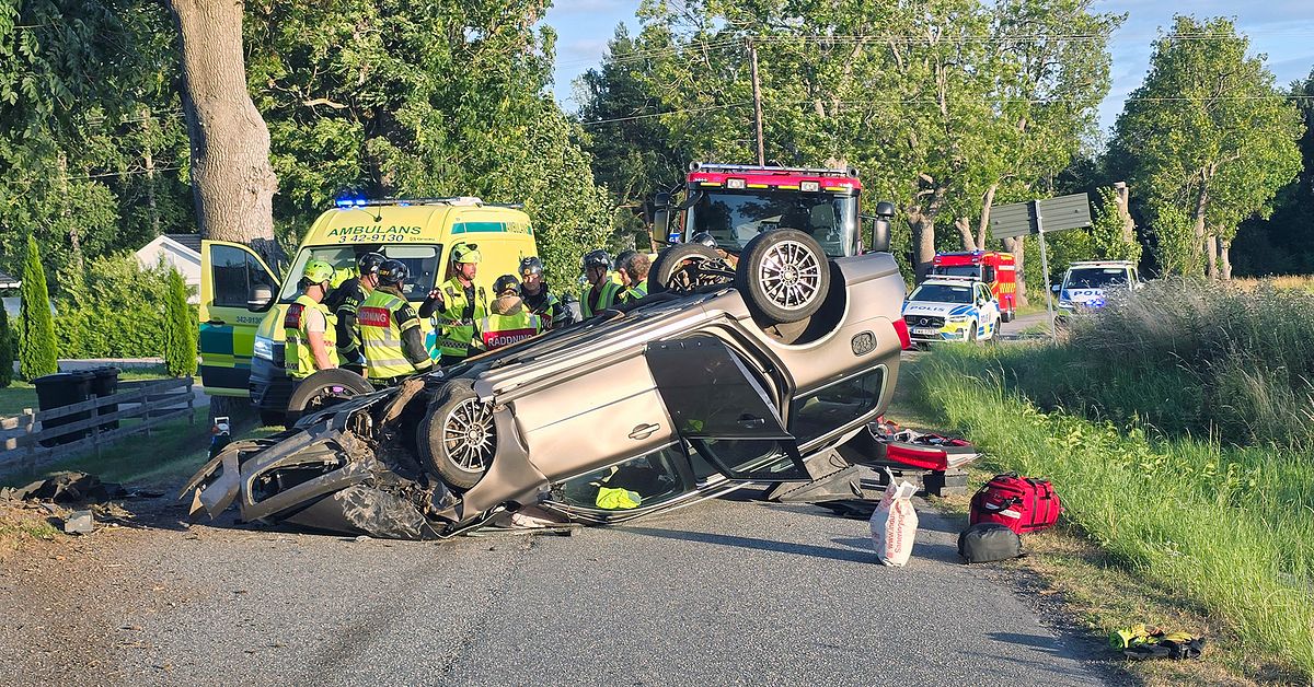 Rattfull bilist k&ouml;rde in i tr&auml;d