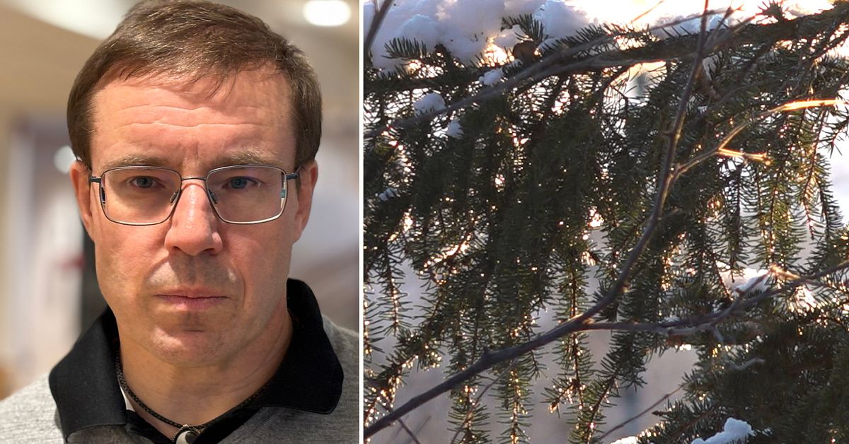 Bolag får rätt till gruvbrytning i naturreservat