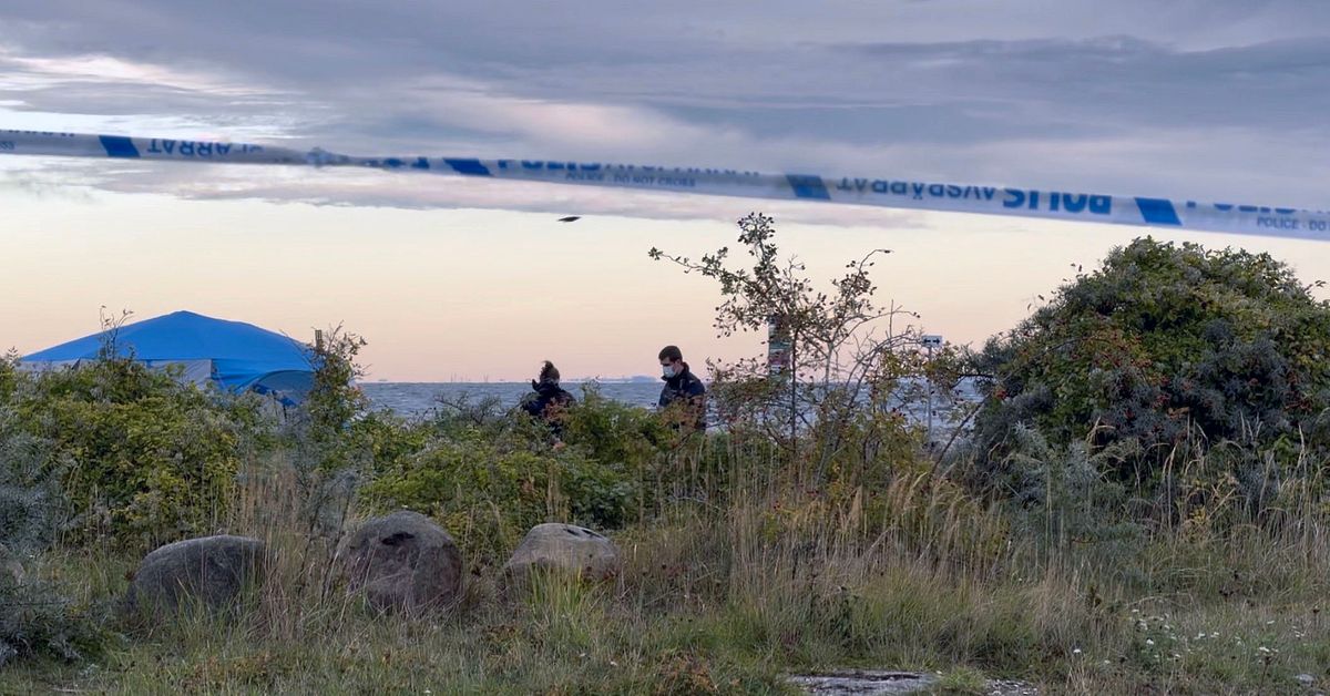 Details: Two men arrested on suspicion of rape at Ön at Limhamn
