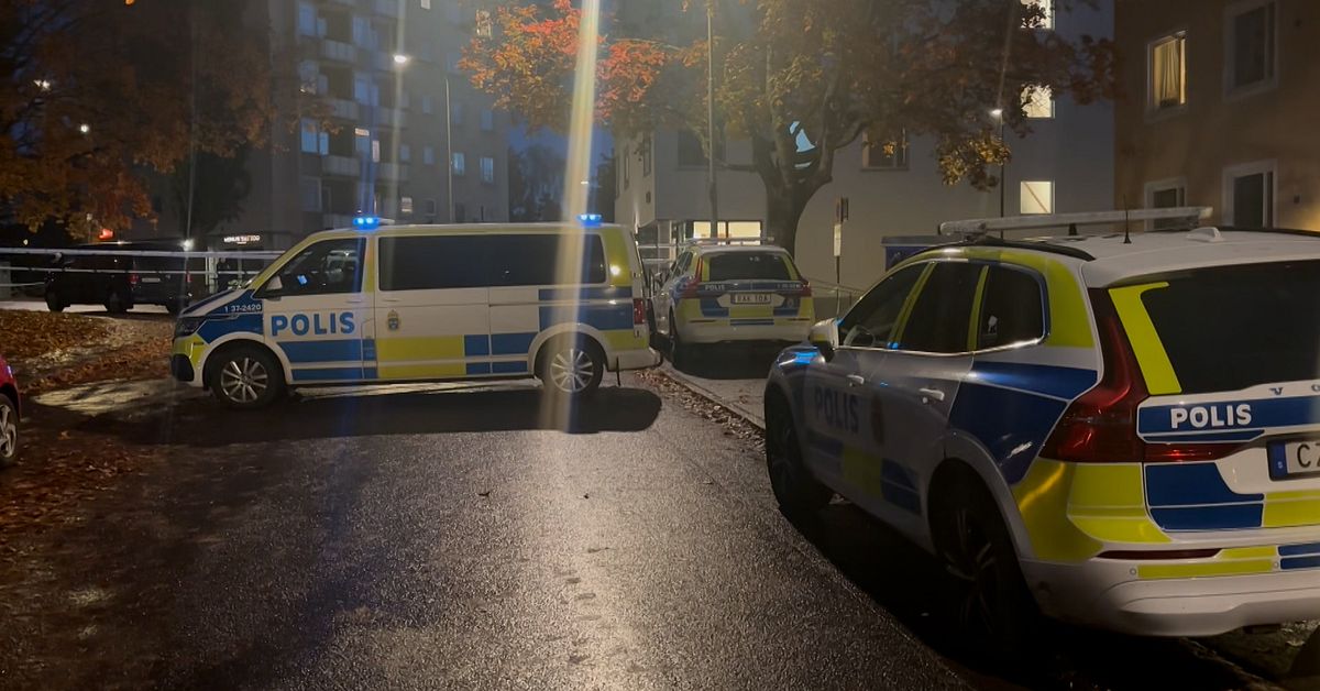 En man d&ouml;d efter skjutning i s&ouml;dra Stockholm