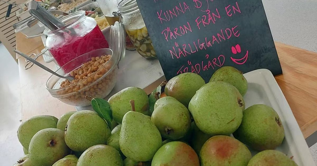Invånare skänkte 600 kilo frukt till köken i Kalmar kommun | SVT Nyheter