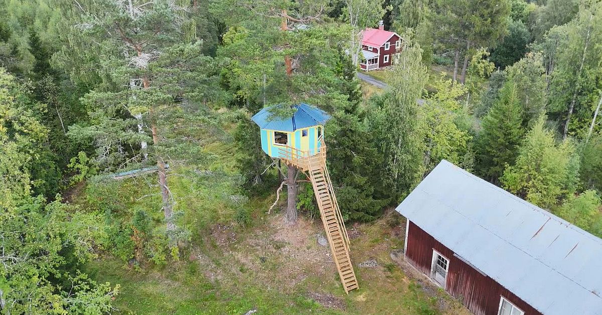 Håkan byggde en trädkoja i Örnsköldsvik – sex meter över marken