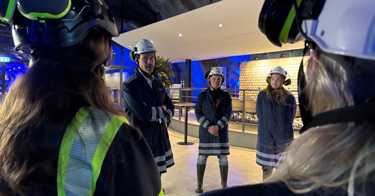 Apotekarpar utvisades &ndash; M vill se &ouml;ver annonseringskrav