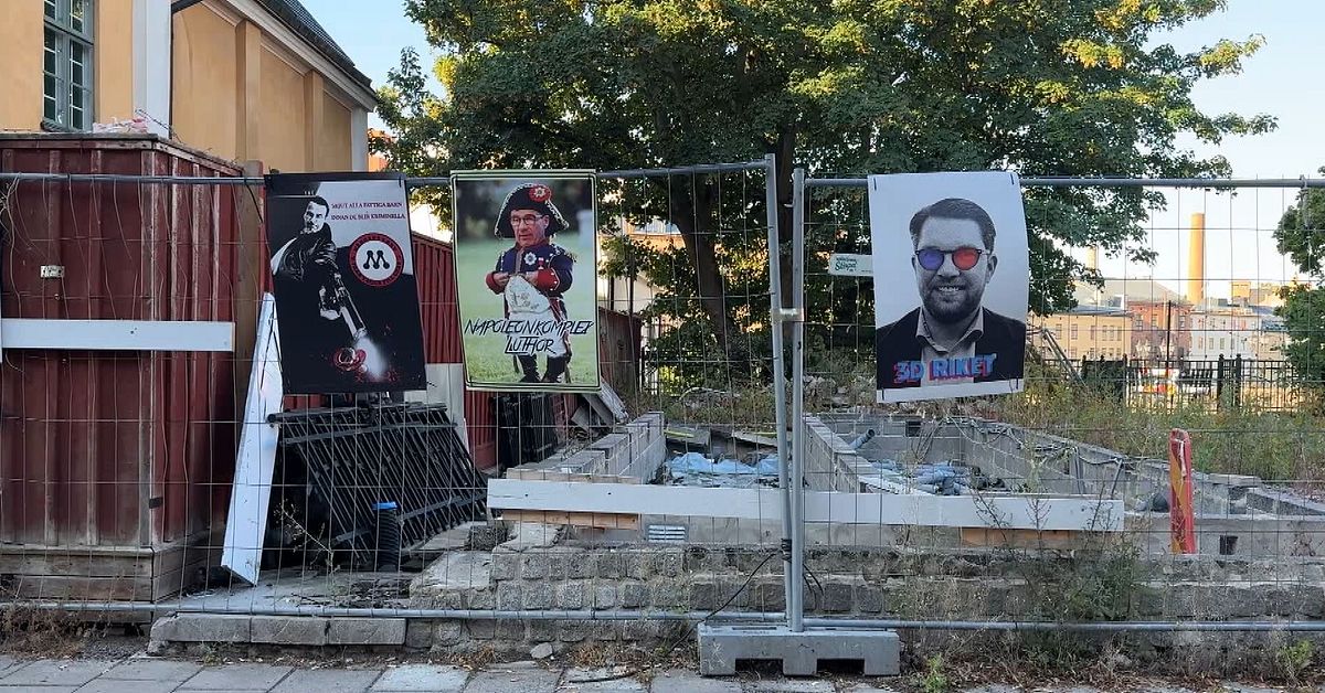 Omstridda valaffischer har dykt upp i Norrk&ouml;ping