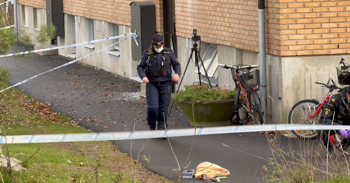 Kvinnan anmälde misstänkte mannen för misshandel – före mordet