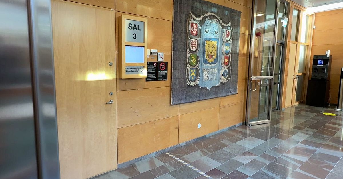 Åklagare yrkar på fängelse för östgötsk influencer