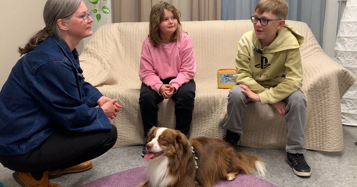 Hunden Vide sprider l&auml;sgl&auml;dje bland elever i T&auml;rnaby: &rdquo;K&auml;nner mig trygg&rdquo;