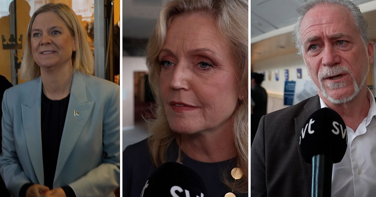De r&ouml;dgr&ouml;na: D&auml;rf&ouml;r ska Kristersson f&aring; uppdraget
