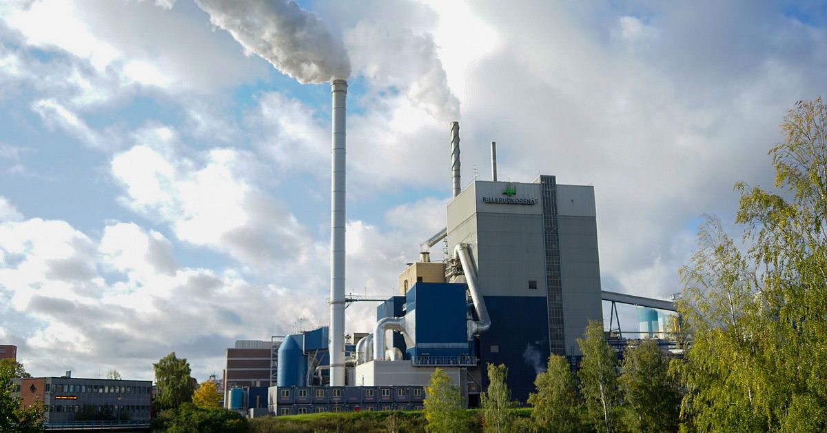 Billerud drar ned – uppemot 650 får gå