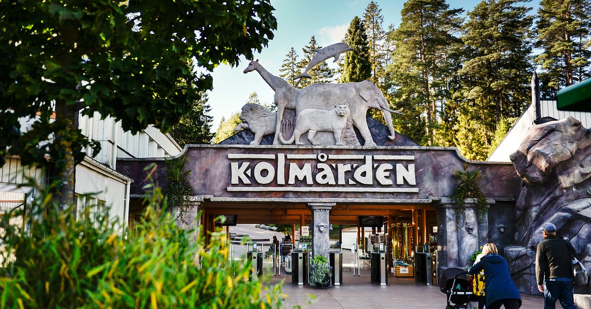 Kritik mot Kolm&aring;rdens delfinarium &ndash; brister i djurh&aring;llningen