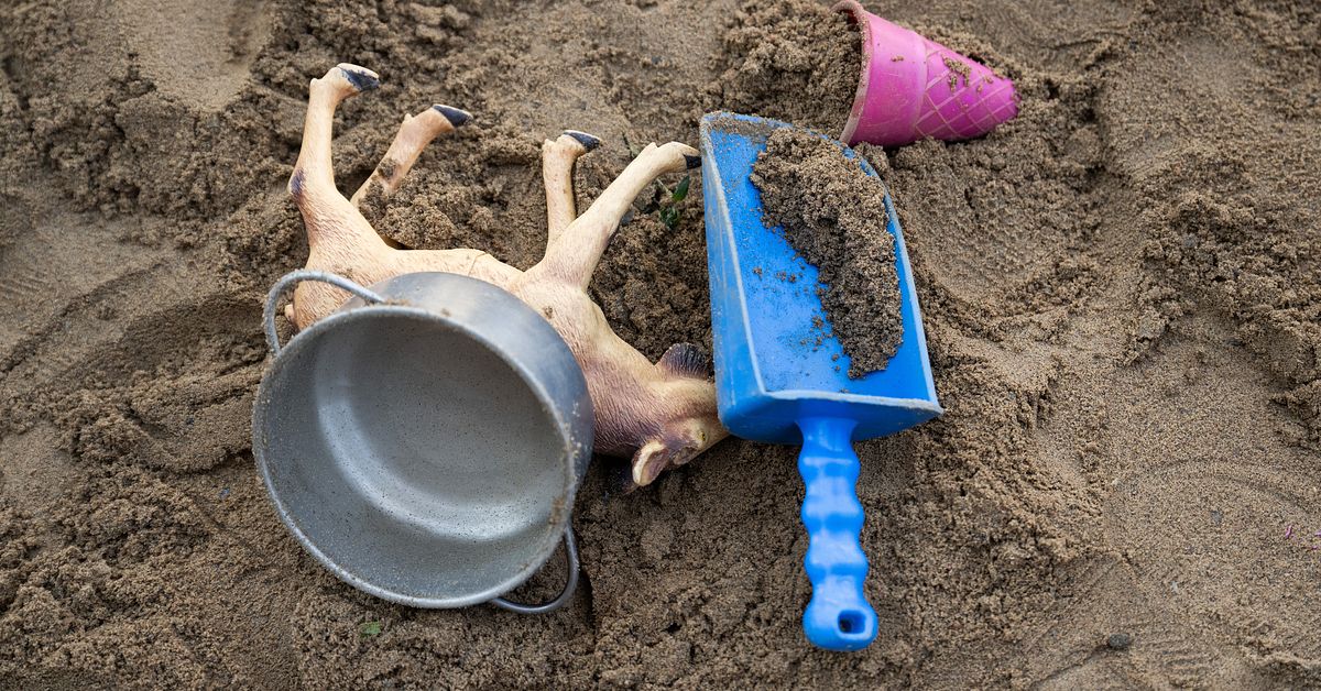 F&ouml;rskoll&auml;rarens anst&auml;llning avslutas &ndash; &rdquo;Sv&aring;r arbetsr&auml;ttslig situation&rdquo;