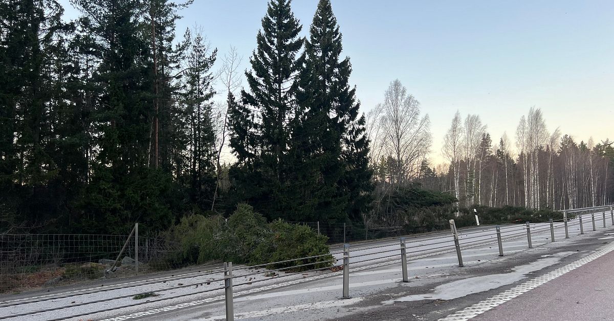 Stormen Johannes drog in &ouml;ver Sverige &ndash; SMHI varnar