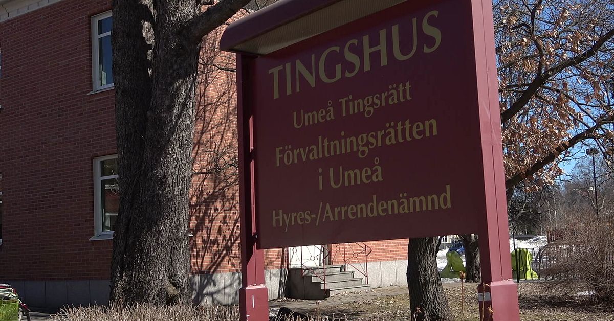 Tolk porrsurfade under r&auml;tteg&aring;ng &ndash; mister sin yrkestitel