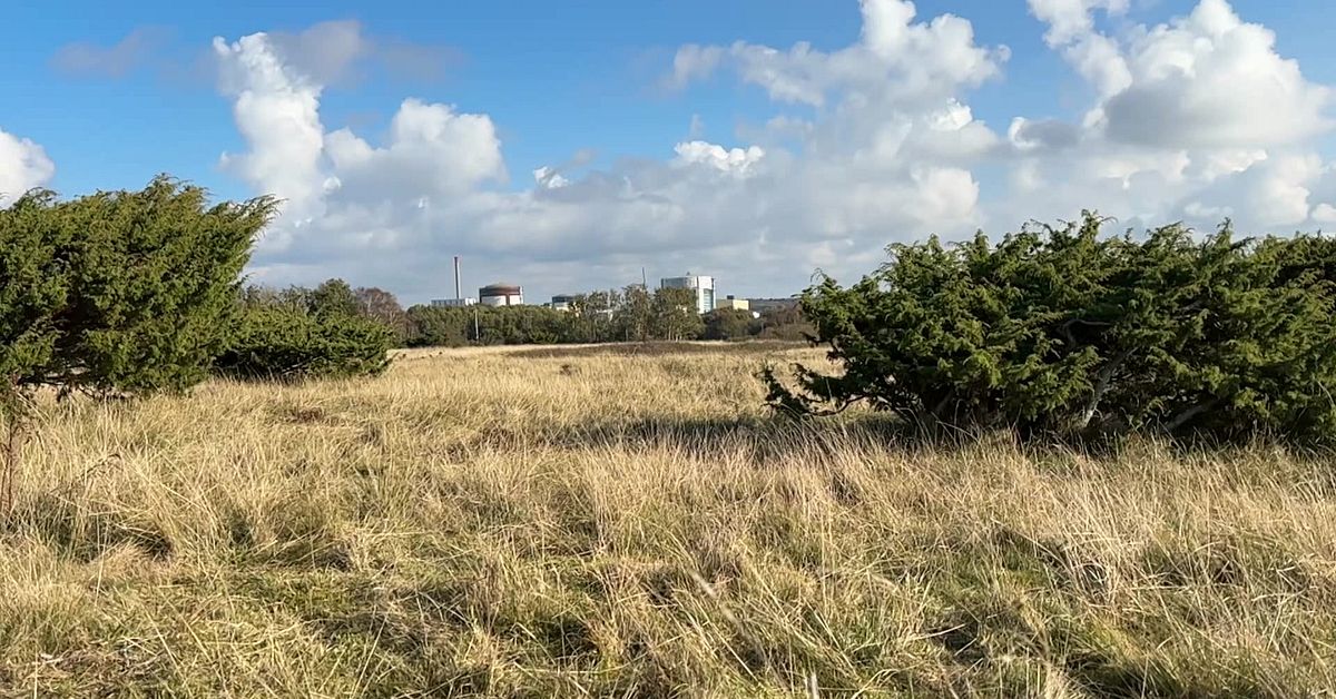 Regeringens beslut: Naturreservat kan upph&auml;vas f&ouml;r k&auml;rnkraft vid Ringhals