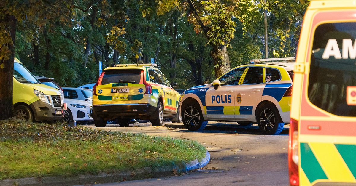 Man död i Göteborg – en gripen