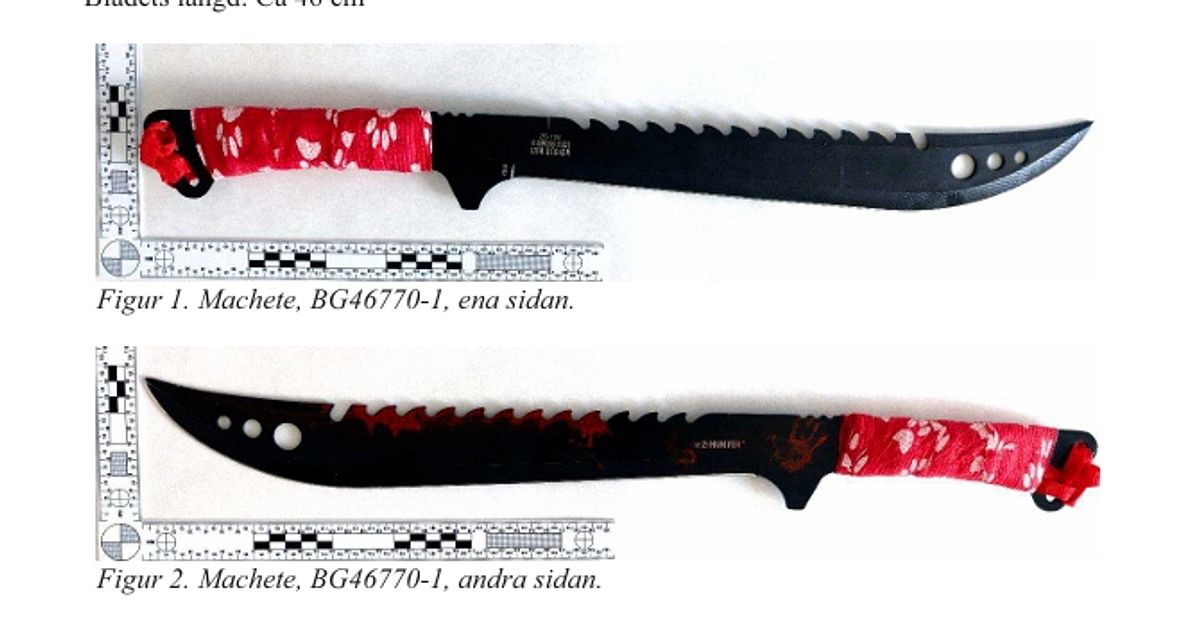 Man &aring;talas &ndash; misst&auml;nks ha attackerat granne med machete