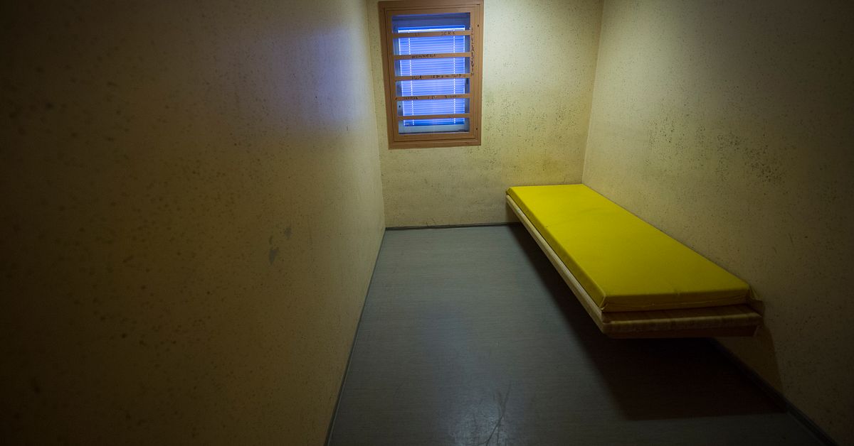 Ung man avled i Hudikpolisens arrest &ndash; &aring;klagare utreder
