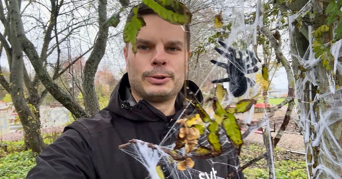Halloween-pyntet i Nyköping som sticker ut: ”Trevligt inslag” | SVT Nyheter