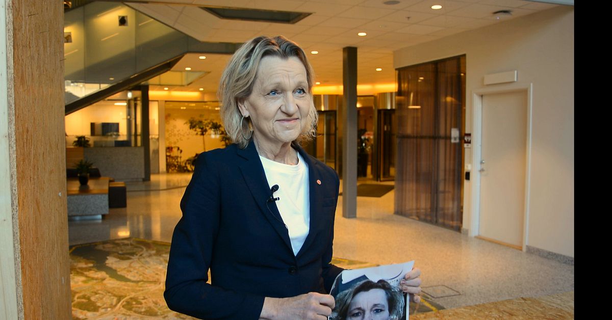 Boel Godner (S) blickar tillbaka: &rdquo;Det var oordning i S&ouml;dert&auml;lje&rdquo;