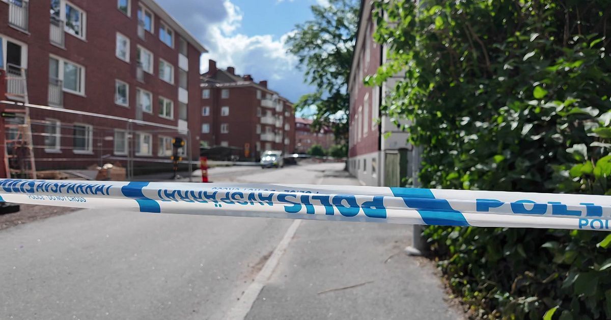18-&aring;ring beg&auml;rd h&auml;ktad f&ouml;r s&ouml;ndagsmorgonens mordbrand i Link&ouml;ping