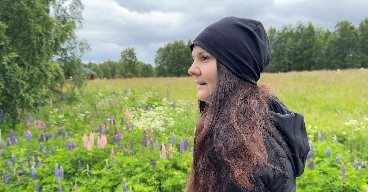Bratten har &ouml;versv&auml;mmats av lupiner: &rdquo;Slukat hela byn&rdquo;