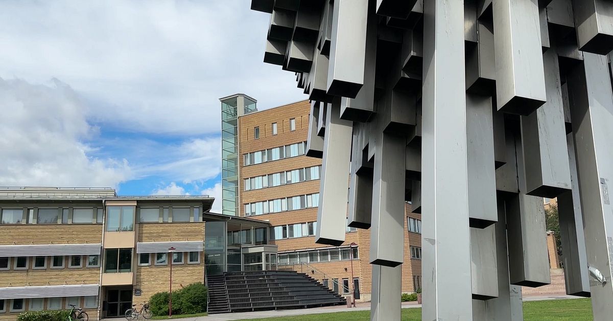 Personuppgifter från Umeå universitet har läckt efter cyberattacken mot Miljödata