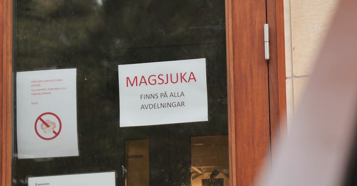 Regionen: Ägg kopplas till salmonellautbrott på äldreboenden