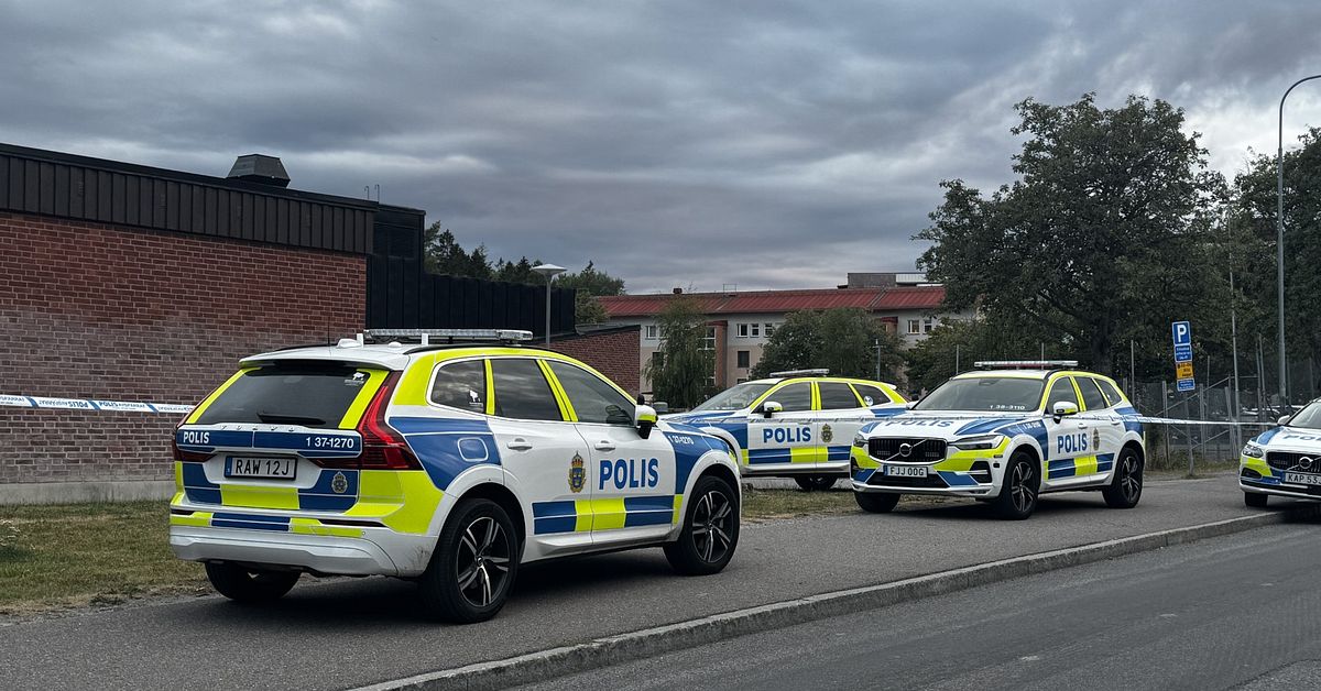 En person skjuten i Ronna &ndash; en gripen