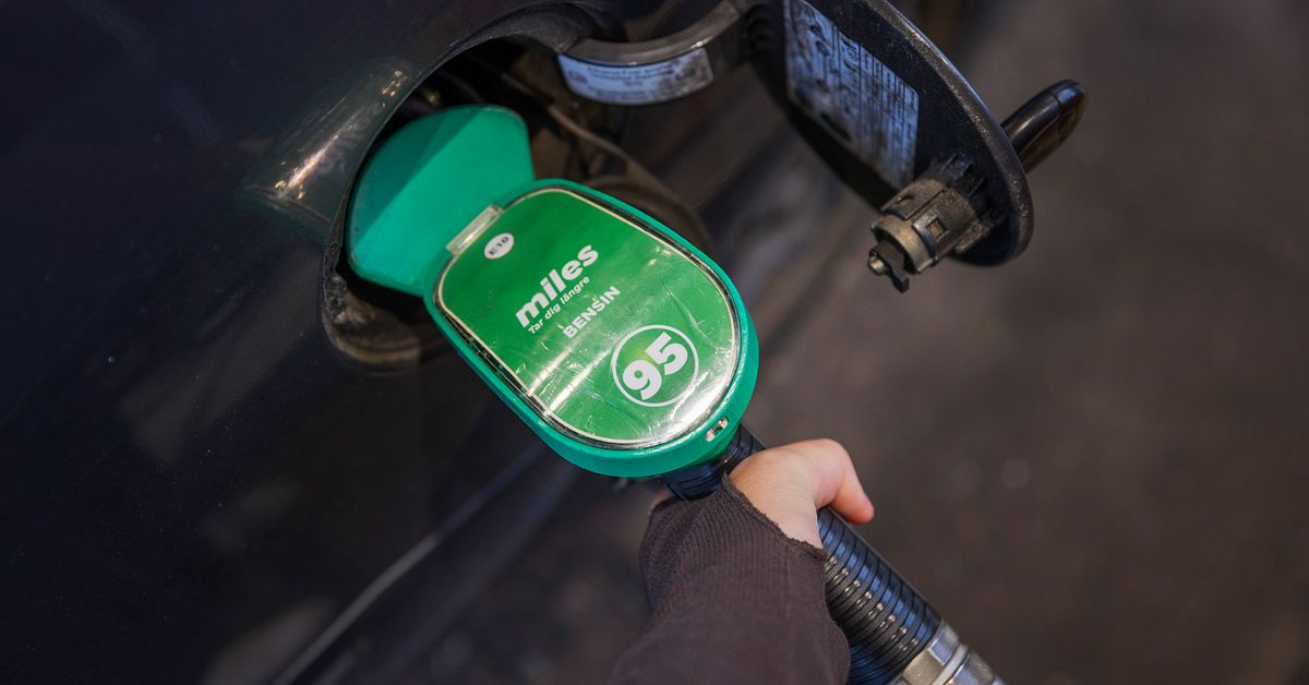 Utredare: Det krävs för att Sverige ska nå klimatmålen