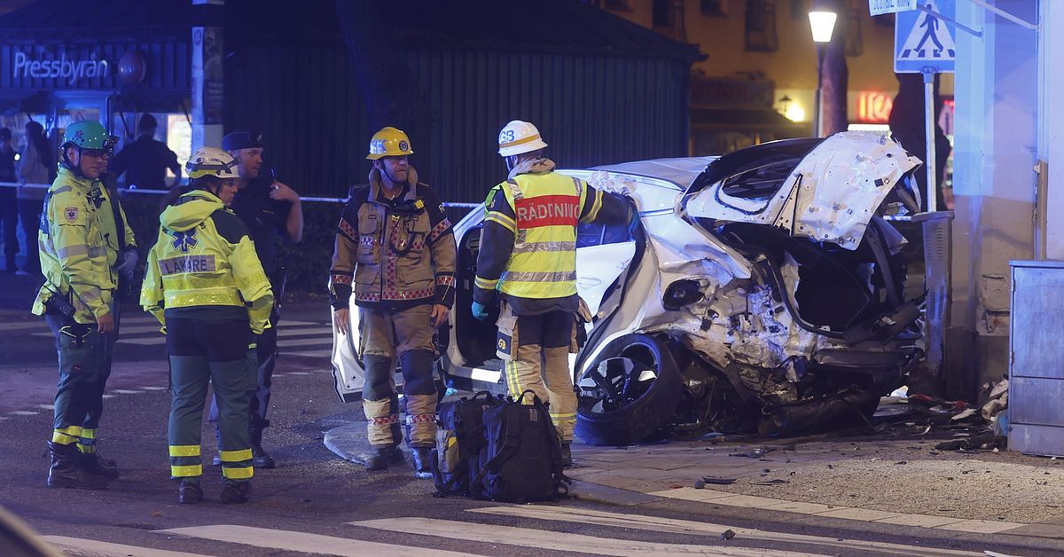 D&ouml;dskraschen p&aring; &Ouml;stermalm ett mysterium &ndash; ber S&auml;po om hj&auml;lp