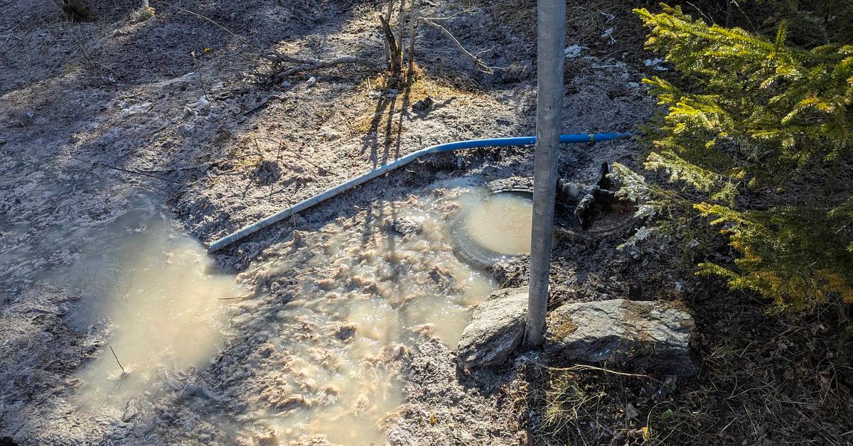Stora m&auml;ngder avloppsvatten har runnit ut i &Aring;re