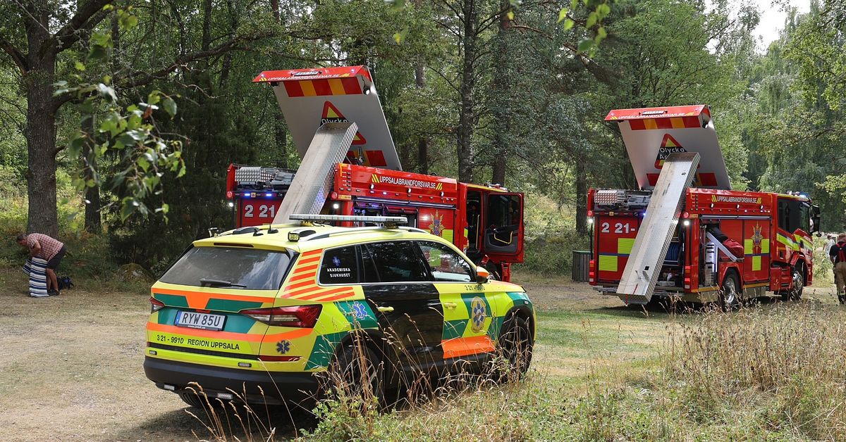 F&ouml;rsvunnen pojke hittad i vattnet utanf&ouml;r Uppsala