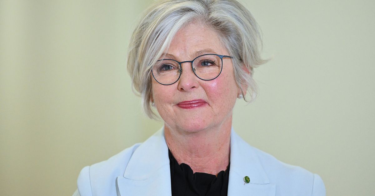 Australiensisk parlamentsledamot skadad i attack med bil