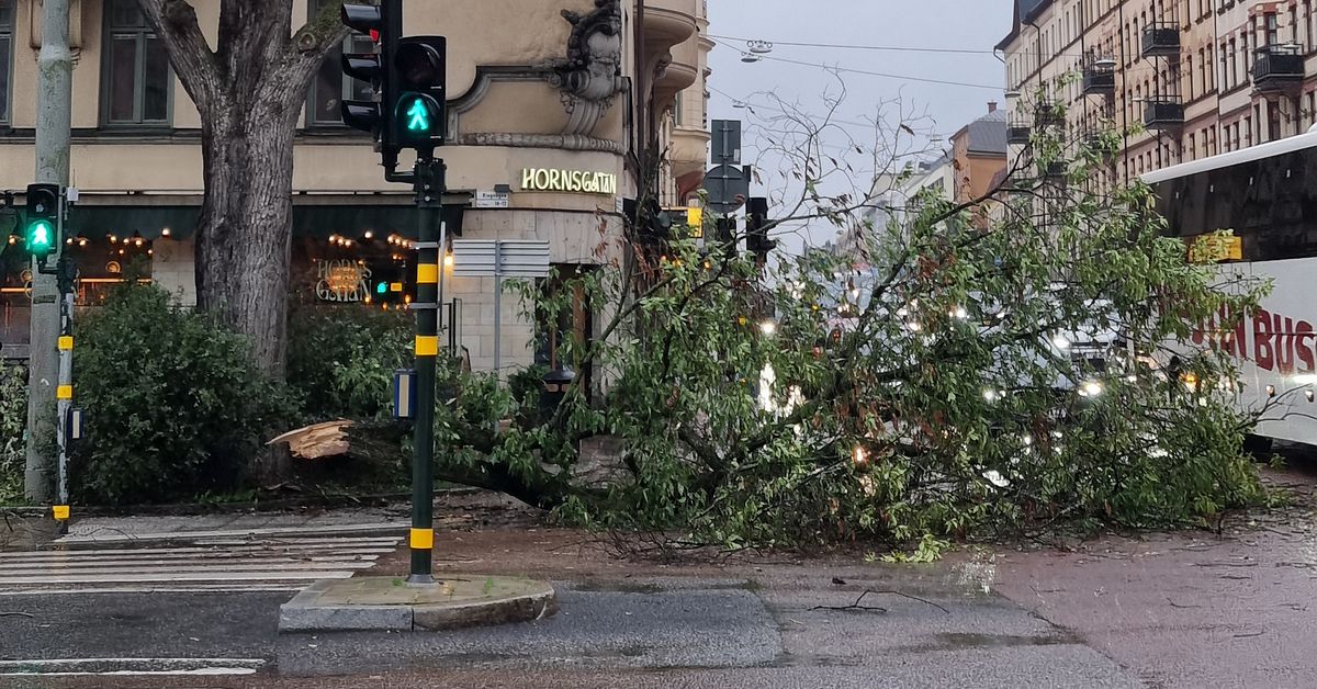 Nedfallna träd och plåttak som blåst bort – starka vindar i Stockholms län