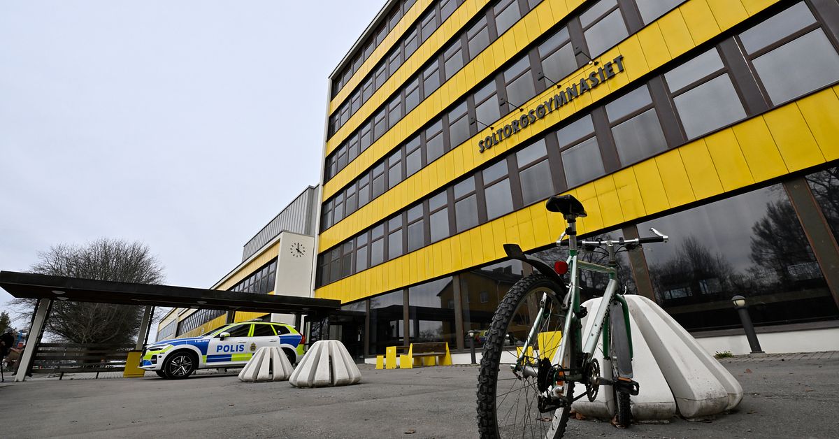 Misst&auml;nkt i Borl&auml;nge f&ouml;rsatt p&aring; fri fot &ndash; &rdquo;Pojken &auml;r oskyldig&rdquo;