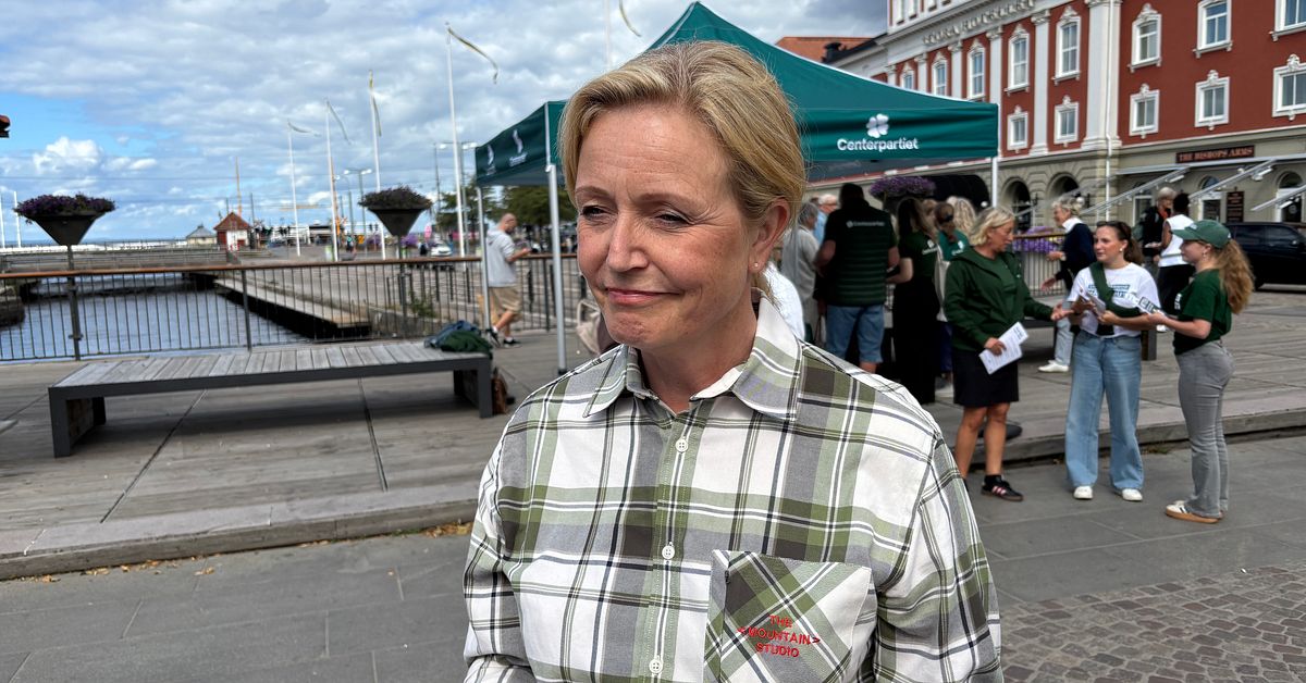S&aring; vill centern skapa tusentals nya jobb i J&ouml;nk&ouml;pings l&auml;n