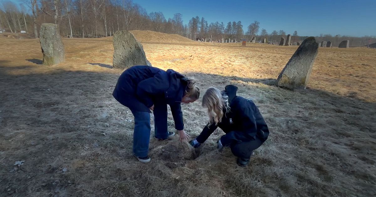 Nytt misst&auml;nkt fornminnesbrott vid Anundsh&ouml;g i V&auml;ster&aring;s