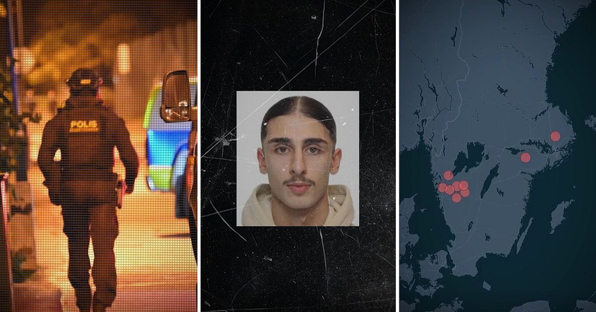 Ali Namdar, 21, fr&aring;n Katrineholm &ndash; en av Europas mest efters&ouml;kta