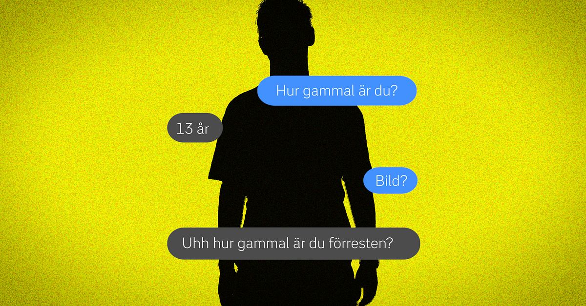 S&aring; ska 31-&aring;ring ha groomat sm&aring;flickor i Halmstad