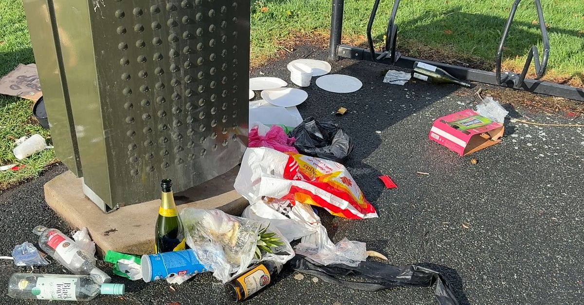 Skr&auml;pkaos p&aring; V&auml;tterstranden &rdquo;Folk &auml;r ointelligenta&rdquo;