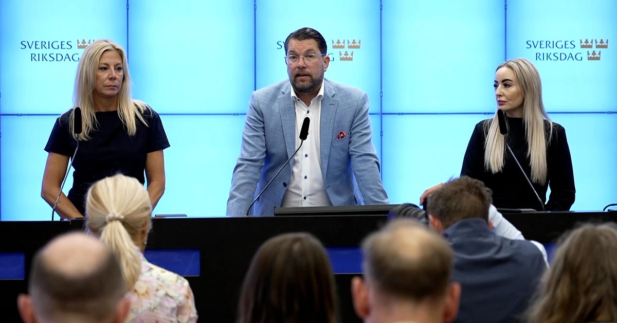 SD vill inr&auml;tta moderna mentalsjukhus