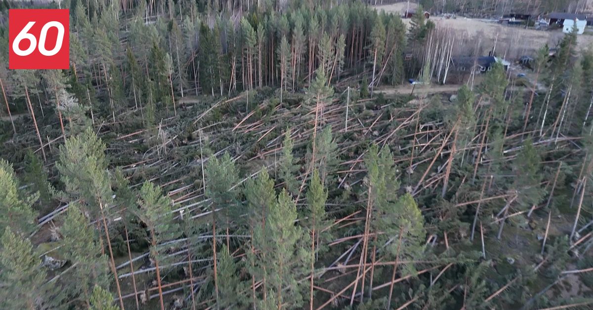 60 sekunder: S&aring; drabbade stormen Johannes Sverige