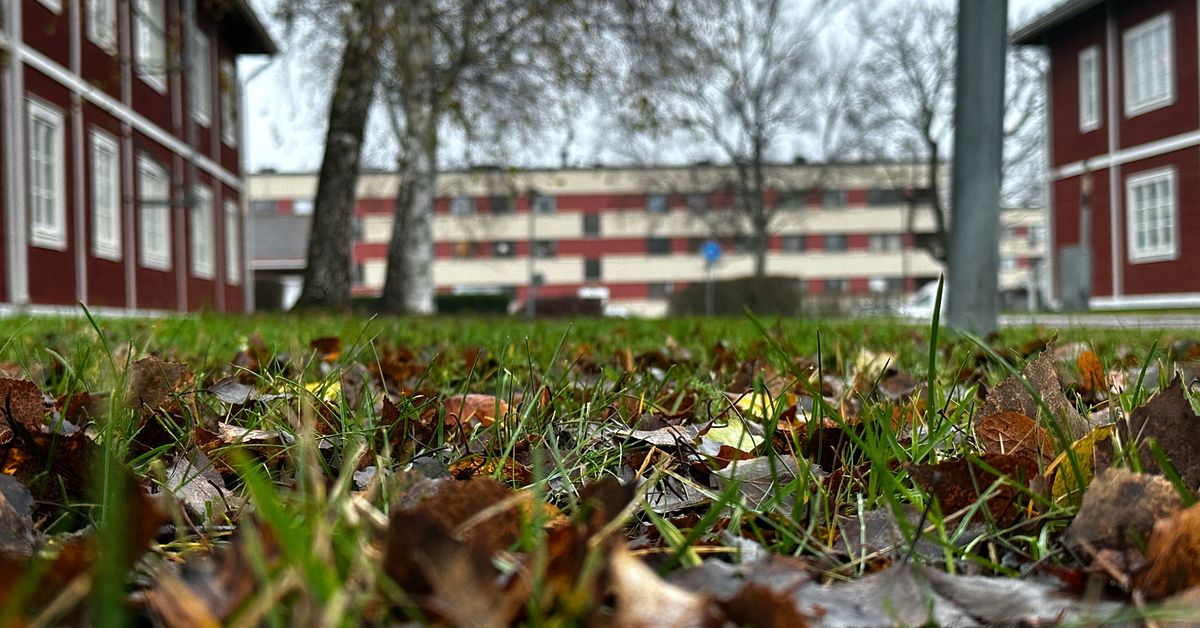 Misstänkt mord i Borlänge – död man hittades utomhus